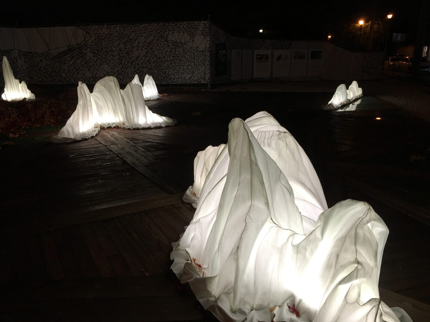 Paula Crown (installation)