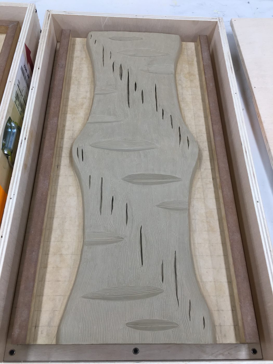 Naomi Fisher (process)